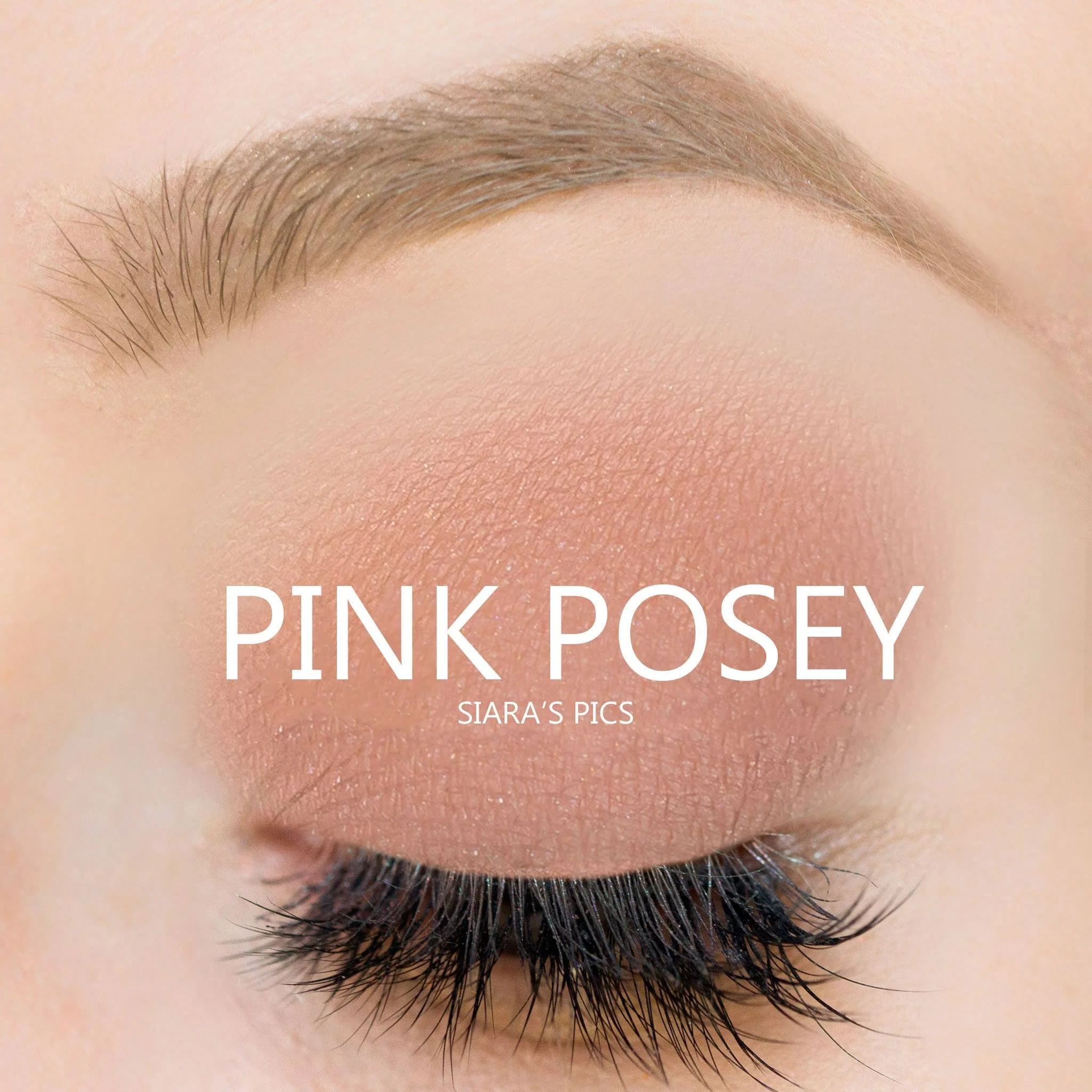 【s】 コスメ Pink Posey ShadowSense | Ashley Cejka